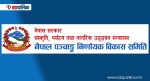 स्वीकृति नलिई क्यालेण्डर छापे १ लाख रुपैयाँसम्म जरिवाना हुने
