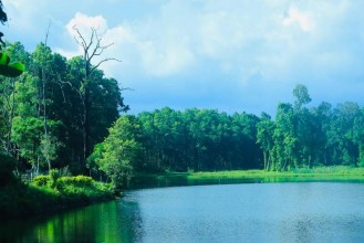 पर्यटकको रोजाइमा वेतना सिमसार