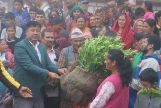 महिला समूहलाई १२ हजार सुन्तलाका बिरुवा