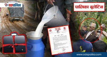 पर्साका ४ स्थानीय तहले ल्याउन सकेनन् बजेट, चन्द्रागिरी वालश्रममुक्त, तपाईंको पालिकाको यस्तो खबर