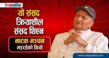 यो संसद क्रियाशील संसद थिएन, त्यहाँ नाटक मञ्चन भइरहेको थियोः मैनाली