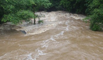सुनसरीको सर्दुखोलाले सतर्कता तह नाघ्यो