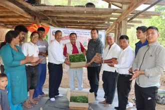 विप्लवलाई गाउँपालिकाको अकबरे उपहार, स्थानीय भन्छन्ः किसानलाई मल छैन, पार्टीलाई बेर्ना !