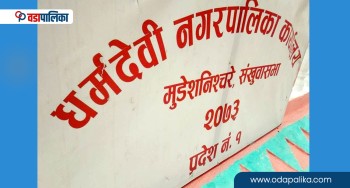 धर्मदेवी नगरपालिकाले भन्यो– सामाजिक सुरक्षा भत्ता नवीकरण गरिसक्नू, नत्र नाम हट्छ