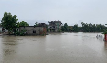 वर्षाले धनगढी उपमहानगरका ७ वडा प्रभावित, ८ जनाको उद्धार