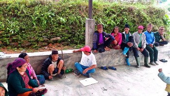 धार्चे गाउँपालिकामा घाँसको जरिबाना : बँधुवालाई २५०, चरुवालाई पाँचसय