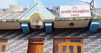 असली माछा संरक्षणमा जुट्यो गलकोट नगरपालिका