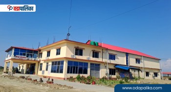 गौरादह नगरपालिकाले पेटानी बुन्ने तालिम दिने, कसरी सहभागी हुने ?