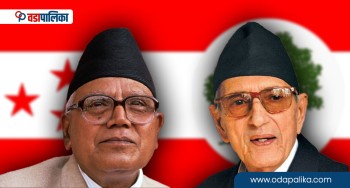 गिरिजाप्रसादले कांग्रेस विभाजन गर्न खोज्दा यसरी जोगाएका थिए कृष्णप्रसाद भट्टराईले