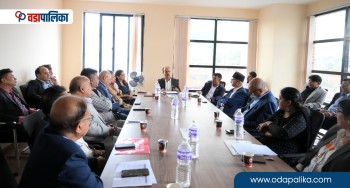 बीमा प्राधिकरणले भन्यो– जेनजी आन्दोलनको क्षतिको दाबी भुक्तानी छिटो गर्नू