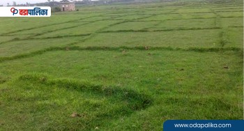 देशभरका स्थानीय तहमा भूमि बैंक, उपयोगमा नरहेका र बाँझो निजी जग्गाबाट फाइदा लिन सकिने
