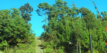 भोजपुरको काफ्ले डाँडालाई पर्यटकीय क्षेत्रका रुपमा विकास गरिँदै