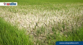 सुख्खाग्रस्त क्षेत्रमा राहत दिनेलगायत विषयमा मधेश प्रदेश सरकारका आठ बुँदे निर्णय
