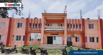 बालुवा ठेक्कामा अनियमितताको शंका गर्दै कोटहीमाई गाउँपालिकाका कागजात अख्तियारको नियन्त्रणमा