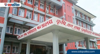 कृषि क्षेत्रमा गएको १० वर्षको अनुदानको छानविन हुने, मन्त्री चौधरीले बनाइन ५ सदस्यीय समिति