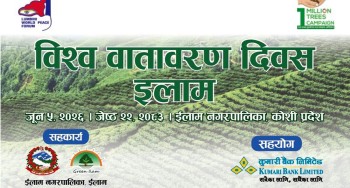 इलाम नगरपालिकासँगको सहकार्यमा कुमारी बैंकले रोप्यो ३०० विरुवा