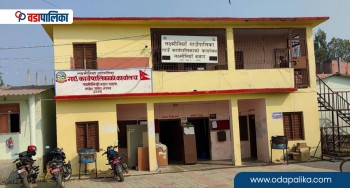 लक्ष्मीनिया गाउँपालिकाले नयाँ घर बनाउनेलाई ‘घर कति जरुरी छ’ भनेर निःशुल्क परामर्श दिने