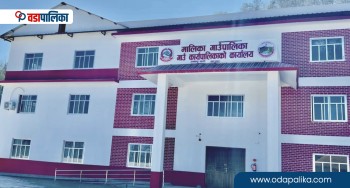 मालिका गाउँपालिकामा बेसारको ब्रान्डिङ, प्रतिकेजी ४ सय रुपैयाँ मूल्य