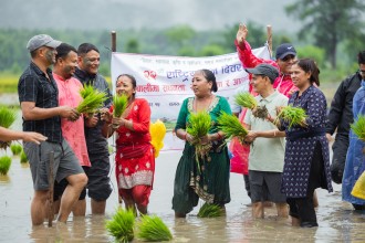 खेती गर्नुहोस्, बीमा स्थानीय सरकारले गरिदिन्छ 