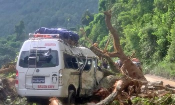 गुडिरहेको माइक्रोबसलाई रुखले किचेपछि...