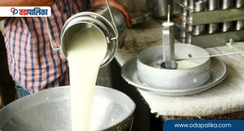 गोरखाका किसानलाई सहयोग, दूध उत्पादन प्रोत्साहनका लागि नगद अनुदान