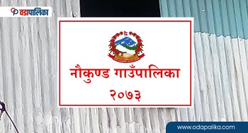रसुवाको नौकुण्ड गाउँपालिकामा चारवटा पक्की पुल निर्माण, अब बाह्रैमास सहज यातायात