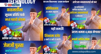 अर्थमन्त्रीले बजेट पढ्दा व्यस्त देखिएको प्रधानमन्त्रीको ‘फेसबुक भित्तो’