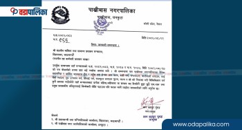 सिंहदरबारलाई पाख्रिबासका मेयरको पत्रः हाकिम नभएर गाईभैसी ब्याउन फरक पर्दैन, दिनै बेग्लै प्रमुख प्रशासकीय अधिकृत पठाए हुन्छ