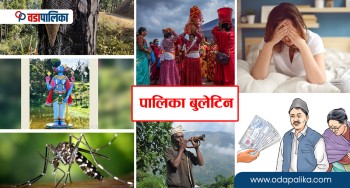 पालिका अपडेटः देवचुली नगरपालिकामा ट्रमा सेन्टर || गाउँका सिंहदरबार कुरेर बसेनन् सेवाग्राही