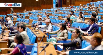 हाम्रा सांसद नकच्चरा होइनन्, प्रतिनिधिसभा मूर्खहरुको भीड होइन