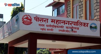 पोखरा महानगरले व्यवस्थापन गर्यो ३२० सडक चौपाया, गौशाखा संचालनको पनि रचनात्मक काम