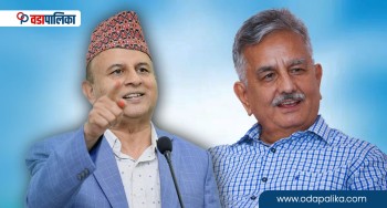 एमाले महाधिवेशनः ४० बुथ गनियो, ओली रफ्तारमा, यस्तो छ शंकर र सुरेन्द्रको अवस्था 