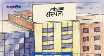 सार्वजनिक संस्थान : २७ नाफा र १६ घाटामा सञ्चालित, दुई बन्द