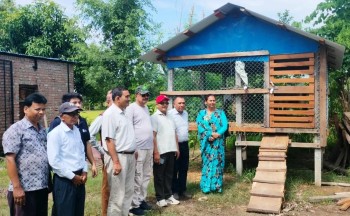 शुक्लाफाँटाका बाख्रापालक कृषकले पाए चिटिक्कको खोर 