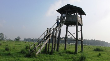 शुक्लाफाँटा राष्ट्रिय निकुञ्जमा जंगल सफारीका लागि रुट कायम