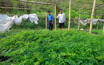 राजनीति छोडेर कृषि कर्ममा उद्यमी बनेका मेल्लेख गाउँपालिकाका पूर्वउपाध्यक्ष धनबहादुर शाही
