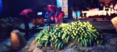 व्यावसायिक काँक्रा खेतीमा खाँडादेवीका कृषक, लाखौँको आम्दानी