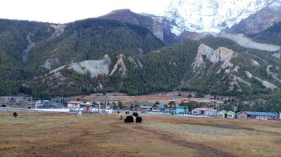चिसो बढेसँगै बेँसी झर्न थाले ङिस्याङ गाउँपालिकाका खर्क