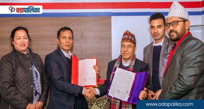 काठमाडौँ महानगरका भित्ता अब ललितकला प्रतिष्ठानको जिम्मामा 