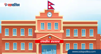 सडक बत्तीको ६ अर्ब ८ करोड रुपैयाँ ३३१ स्थानीय तहको दायित्वमा, कसरी उठ्ला यो रकम ?