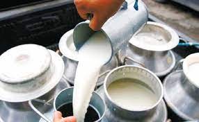 आज विश्व दूध दिवस
