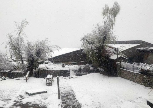 कर्णाली प्रदेशका हिमाली जिल्लामा हिमपात, जनजीवन प्रभावित