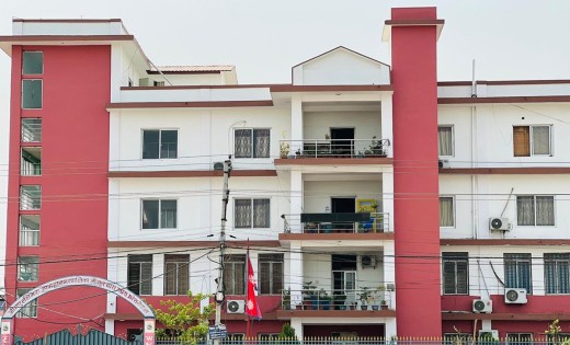 जीतपुरसिमरा उपमहानगरले माग्यो घाँसको विउ चाहिनेसँग आवेदन, कहाँ र कसरी दिने ?