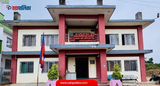 सरुमारानी गाउँपालिकामा निःशुल्क ग्रामीण अल्ट्रासाउन्ड शिविर हुने