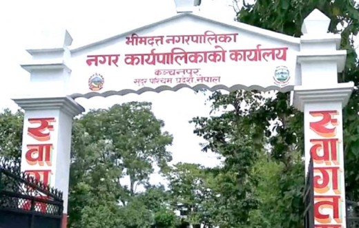 भीमदत्त नगरपालिकाको योजनाः उच्च शिक्षा पढ्ने छोरीबुहारीलाईको छात्रवृत्ति