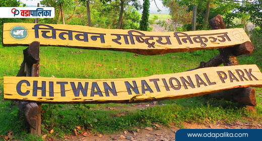 चितवन राष्ट्रिय निकुञ्जले सुरु गर्यो पोखरी निर्माण र मर्मत