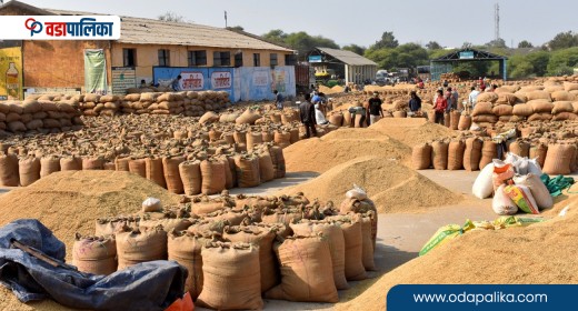 चैते धानको न्यूनतम समर्थन मूल्य कार्यान्वयन गर्न मन्त्रालयको आग्रह