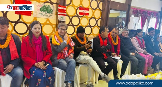 कांग्रेस केन्द्रीय कार्यसम्पादन समितिको बैठक आइतबार बस्ने