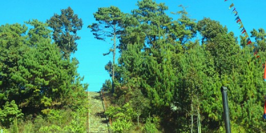 भोजपुरको काफ्ले डाँडालाई पर्यटकीय क्षेत्रका रुपमा विकास गरिँदै