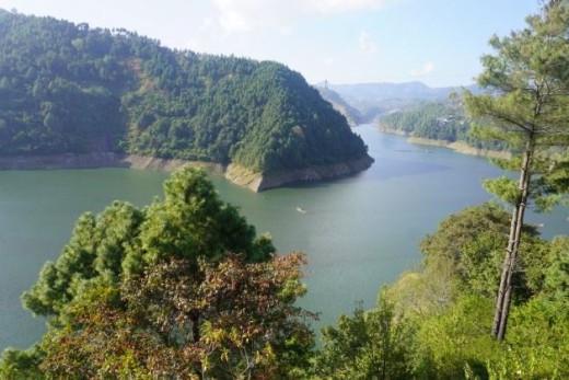 विषादी मिसिएको पानीले कुलेखानीको माछा उत्पादनमा ह्रास